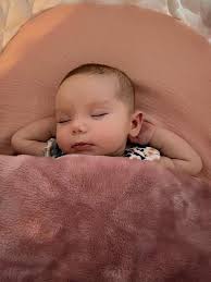 Shannon Earle (@earle.shannon) • Instagram photos and videos