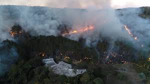 incendio em area de mata assusta moradores de bairro de americana campinas e regiao g1