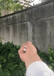Don T Bite The Hand That Feeds You Gif Https Encrypted Tbn0 Gstatic Com Images Q Tbn 3aand9gcrswxgnjfdn2ezbngb2w5o3p6llcoz5sgsxqa Usqp Cau