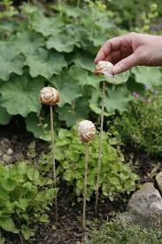 Mein Schones Land Saisonale Rezepte Gartentipps Kreativideen Idyllische Regionen Und Vieles Mehr Entdecken Sie Mit Uns Die Schonsten Seiten Des Landleben Blumenbeet Krautergarten Design Garten