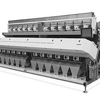 Tea Optical Sorting Machines - Precision & Efficiency