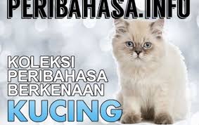 Pilih minyak zaitun yang tidak hanya dapat digunakan sebagai dressing makanan saja. Maksud Peribahasa Dan Jenisnya
