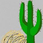 MCHS Foundation Tumbleweed Triathlon 2026