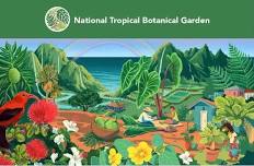 NTBG GROW ALOHA PLANT GIVEAWAY!