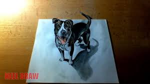 3d Drawing Pitbull Youtube
