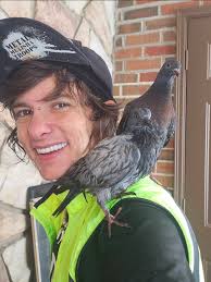 Palomacy Help Group for Pigeon & Dove Rescue & Adoption