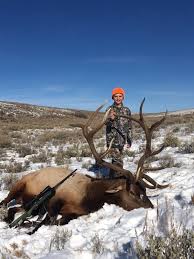 Top 10 Moose Cartridges And Bullets