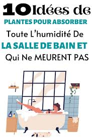 Les 10 Plantes Parfaites Pour La Salle De Bain Pour Capter L Humidite En 2020 Plante Nettoyage De Maison Nettoyage De Printemps