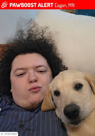 Missing cat reunited after car wreck, now sighted