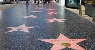 2 Korean Actors Get Stars On Hollywood Walk Of Fame Hollywood Hollywood Walk Of Fame Walk Of Fame
