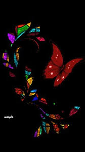 Colourful Birds And Butterflies Wallpaper Colorful Butterfly Gif Butterfly Wallpaper Backgrounds Butterfly Wallpaper Cellphone Wallpaper