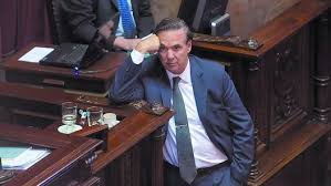 Resultado de imagen para pichetto