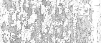 Peeling paint or other paint issues may indicate that the prior painter didn't do the prep work they if you've been noticing that the paint on your stucco home is starting to peel, you might need to have. Peeling Paint The Daily