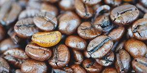 North Norfolk Networking Coffee Morning
