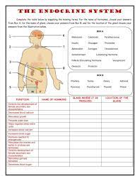 Pin By Sirinpontao On 5 Step S Method In 2021 Endocrine System Endocrine Online Workouts