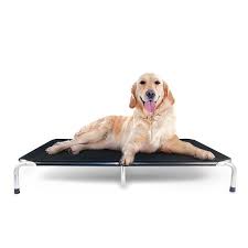 Would you like to know how to translate cachorro to other languages? Cama Suspensa Mec Dreams Tamanho Gg Mec G