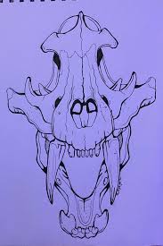 Maybe you would like to learn more about one of these? Tattoo Uploaded By Blackophelya Skull Animal Draw Blackandwhite Sabertooth Tiger 1396026 Tattoodo
