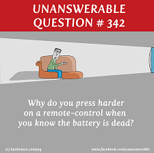 Uq Last Lemon Happiness Is Funny Thoughts Inspirational Words Funny Quotes