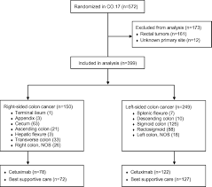 Life expectancies differ depending on the kind of cancer, the affected organ and other issues. Location Of Colon Cancer Right Sided Versus Left Sided As A Prognostic Factor And A Predictor Of Benefit From Cetuximab In Ncic Co 17 European Journal Of Cancer