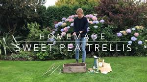 Give them a site with full to partial sun and deep, rich, loamy, moist but. Green Door Garden Decor Homemade Sweet Pea Trellis A Good Activity With Kids Facebook