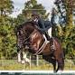 RCHJA Horse of the Year & Benefit Show event image
