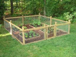Garden Design Ideas Brisbane Gardendesignideas Backyardvegetablegardenlayoutideas Cerca De Jardin Huerta En Terraza Huerta Casa