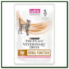 Best Non Prescription Cat Food For Kidney Disease Purina Wet Cat Food Cat Food