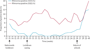 Rhinoviruses easily pass from one person to another. Physical Distancing In Schools For Sars Cov 2 And The Resurgence Of Rhinovirus The Lancet Respiratory Medicine