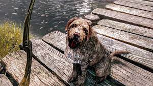 To make child adopt meeko. Remember That Dog Meeko Who Was Living Alone After His Owner Died I Didn T Want Him To Tag Along Because I Don T Want Him To Die But Also Didn T Want To Leave