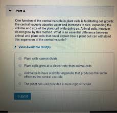 Plant cells and animal cell are not exactly the same because. I Believe The Answer Is D Because The Plant Cell Wall Chegg Com
