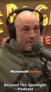 Boneyard Alaska is insane! #joerogan #mammoth #boneyardalaska  @thebonyardalaska