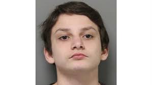 Seaford 14-year-old steals PlayStation