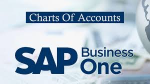 Sap Business One Chart Of Accounts Account Segmentation Setting Chart Of Accounts