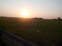 Sawah padi tali air 5, sekinchan, selangor, malaysia. Pemandangan Petang Di Tali Air Tanjong Karang Sawah Padi Facebook