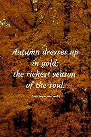 50 Autumn Quotes Fall Quotes And Captions To Enchant And Deepen The Soul Updated For 2020 Autumn Quotes Fall Season Quotes Season Quotes