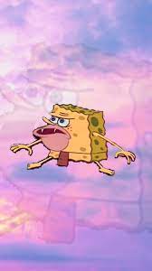 Download Aesthetic Spongebob Meme Wallpaper Png Gif Base Art Wallpaper Iphone Cartoon Wallpaper Iphone Cartoon Wallpaper