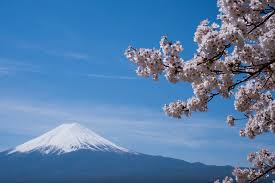 Don T Miss How To Plan Your Tokyo To Mount Fuji Day Trip