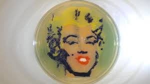 American Society for Microbiology