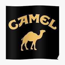 Camel tobacco cigarettes logo in front of their retailer in prague. Camel Cigarettes Logo Posters Redbubble