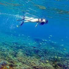 Snorkeling Boracay Island Tour Shell Beach Boracay