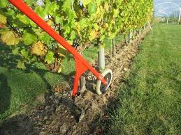 Epingle Par Guillaume David Sur Desherbage En 2020 Desherbage Jardin Potager Verger