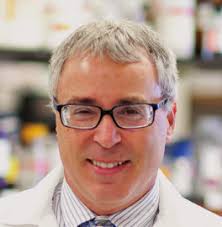 BIG QUESTIONS, BREAKTHROUGH SCIENCE.