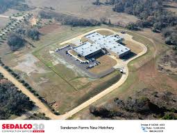 Overview Of Hatchery House Styles Construction Services Mansions