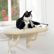 But, for many minutes, the heart beat on with a muffled sound. K H Pet Products Kitty Window Sill Cat Bed Cat Window Perches Petsmart