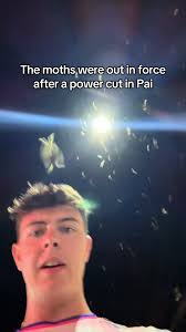 Exploring the Moth Invasion in Pai, Thailand