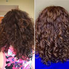 Diy Protein Treatment For Damaged Hair Recipe In 2021 Hair Protein Treatment Products Hair Protein Gelatin Hair