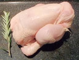 Your hen is an american game hen. Cornish Game Hen Wikiwand