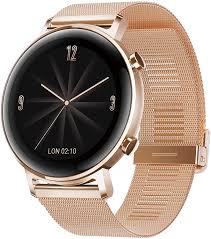 HUAWEI Watch GT 2 Smartwatch Refined ...