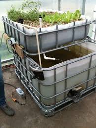Flood And Drain Aquaponics Howtoaquaponic Backyard Aquaponics Aquaponics Greenhouse Indoor Aquaponics