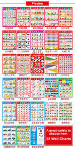 Details About Baby Preschool Education Chinese Learning Wall Chart Poster 6 10 16 28pc Variety